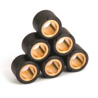Válečky variátoru x6 - 23x18-19g